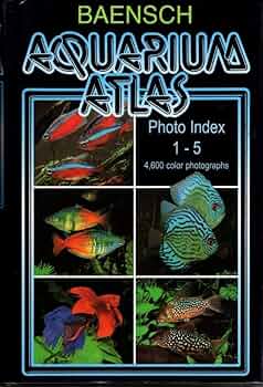 61J+VDwGroL._AC_UF350,